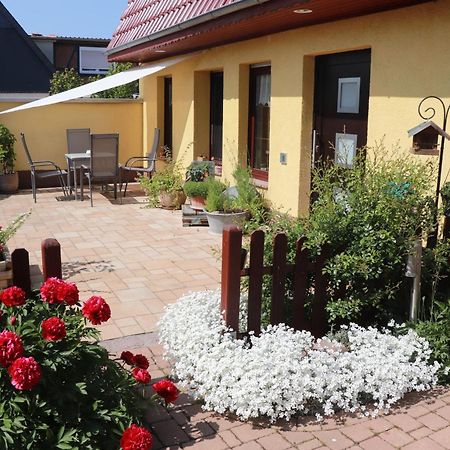 Gasthaus Wini 반츨레벤 외부 사진